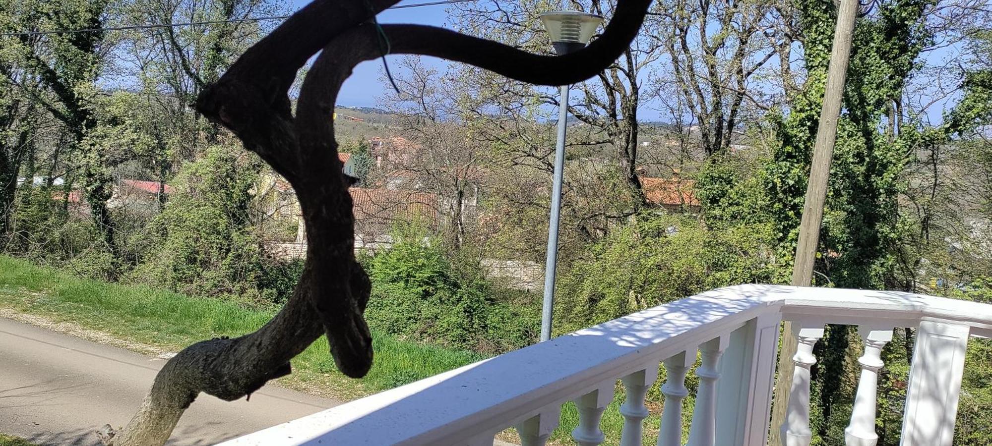 Vila Breskvar Mugeba Eksteriør billede